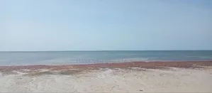 Beach Plot for Sale at Pangani Tanga