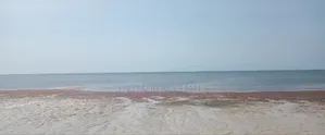 Beach Plot for Sale at Pangani Tanga