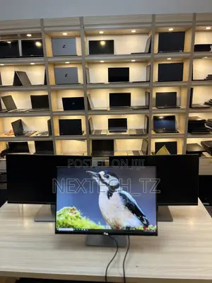Dell 24 Inch Monitor
