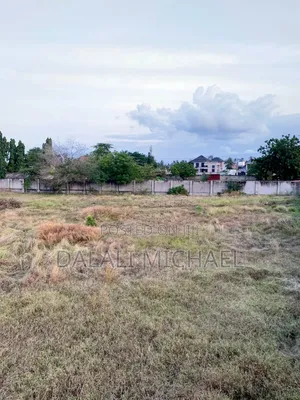 Kiwanja Kinauzwa Kunduchi