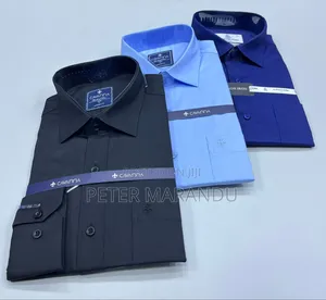Cavanna Shirts Mens