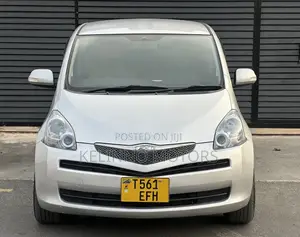 Toyota Ractis 2008 Silver