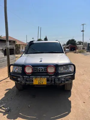 Toyota Land Cruiser 2004 Silver