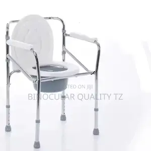 Toilet Seat Commode Chair