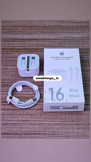 iPhone Original Charger