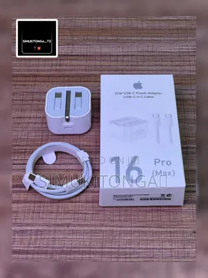 iPhone Original Charger