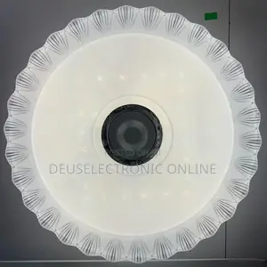 Ceiling Warm White
Light