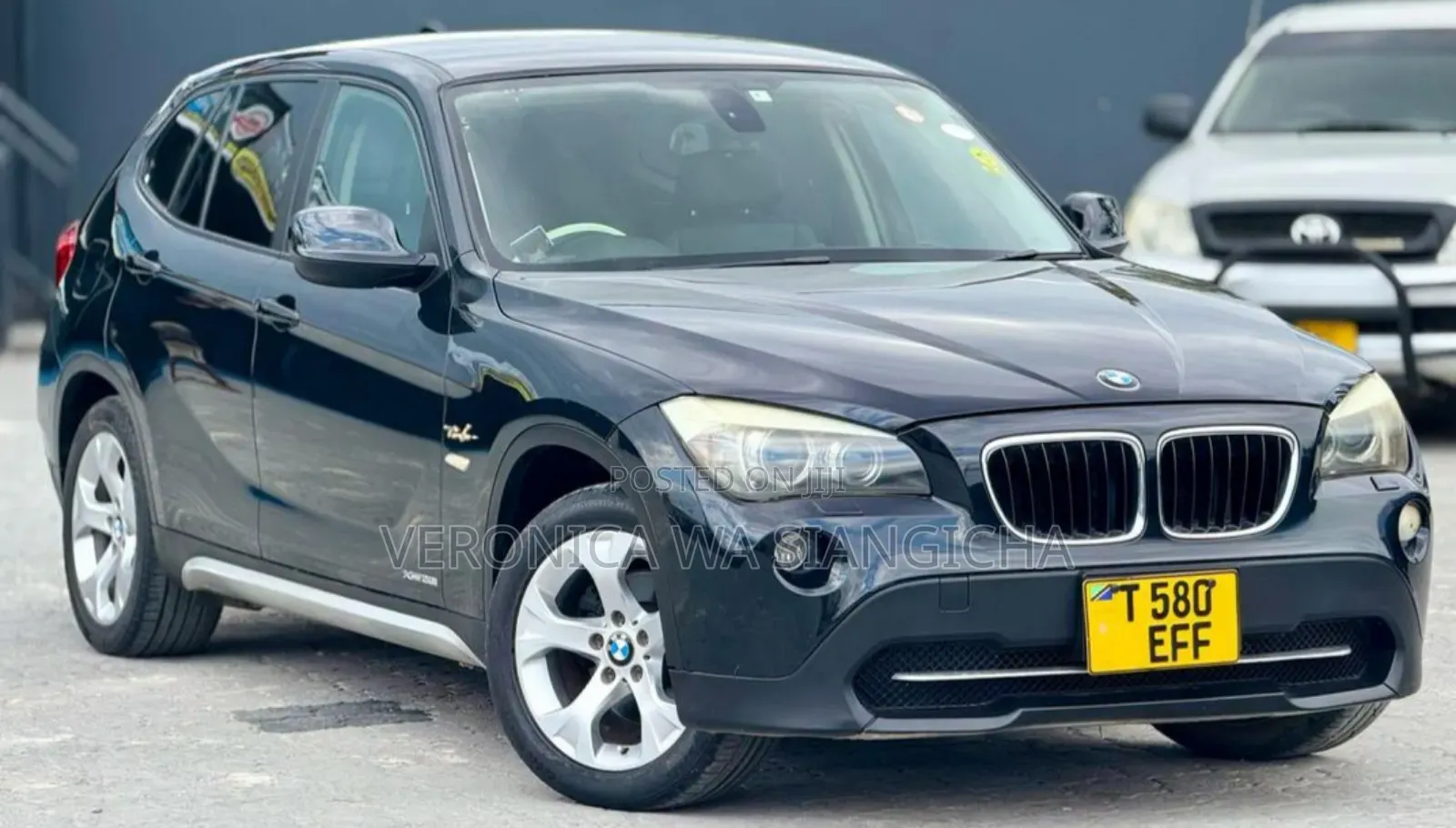 BMW X1 2013 Blue