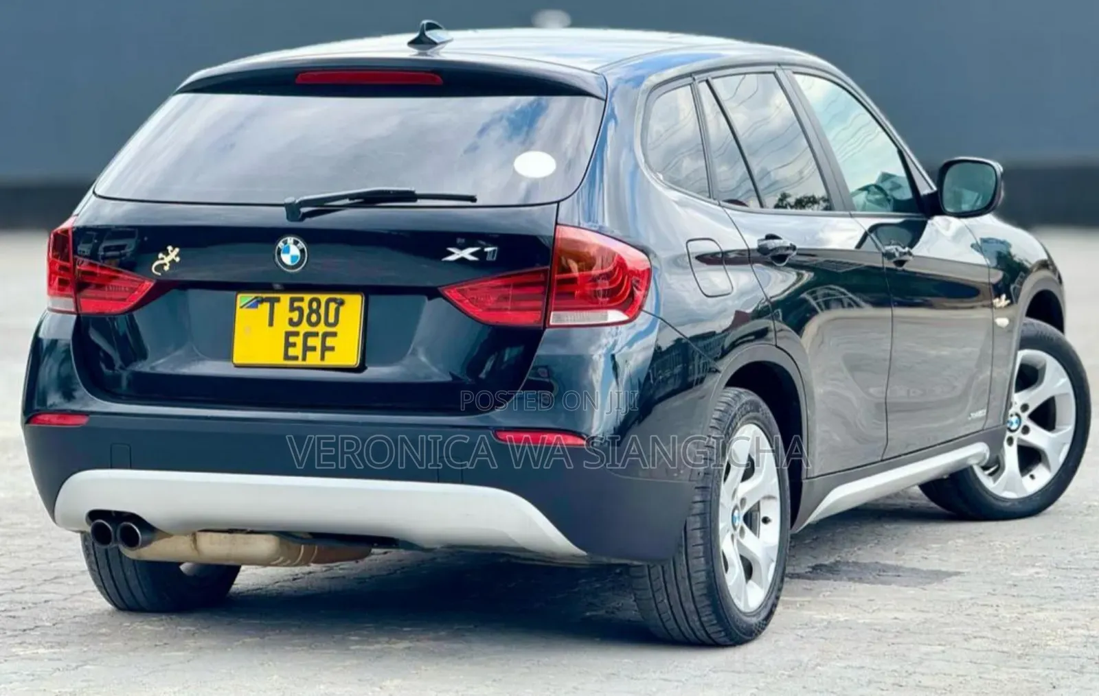 BMW X1 2013 Blue
