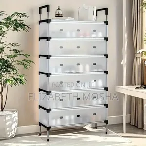 Layers Shoe Rack With Dust