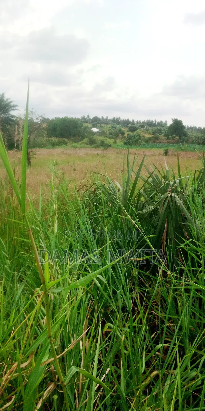 Investment Opportunity At Kilwa Road-10 Acres Industrial Land For Sale