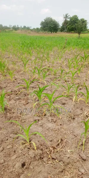 Investment Opportunity At Kilwa Road-10 Acres Industrial Land For Sale