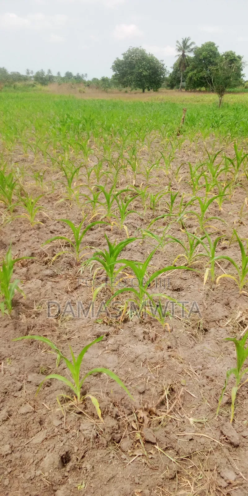 Investment Opportunity At Kilwa Road-10 Acres Industrial Land For Sale