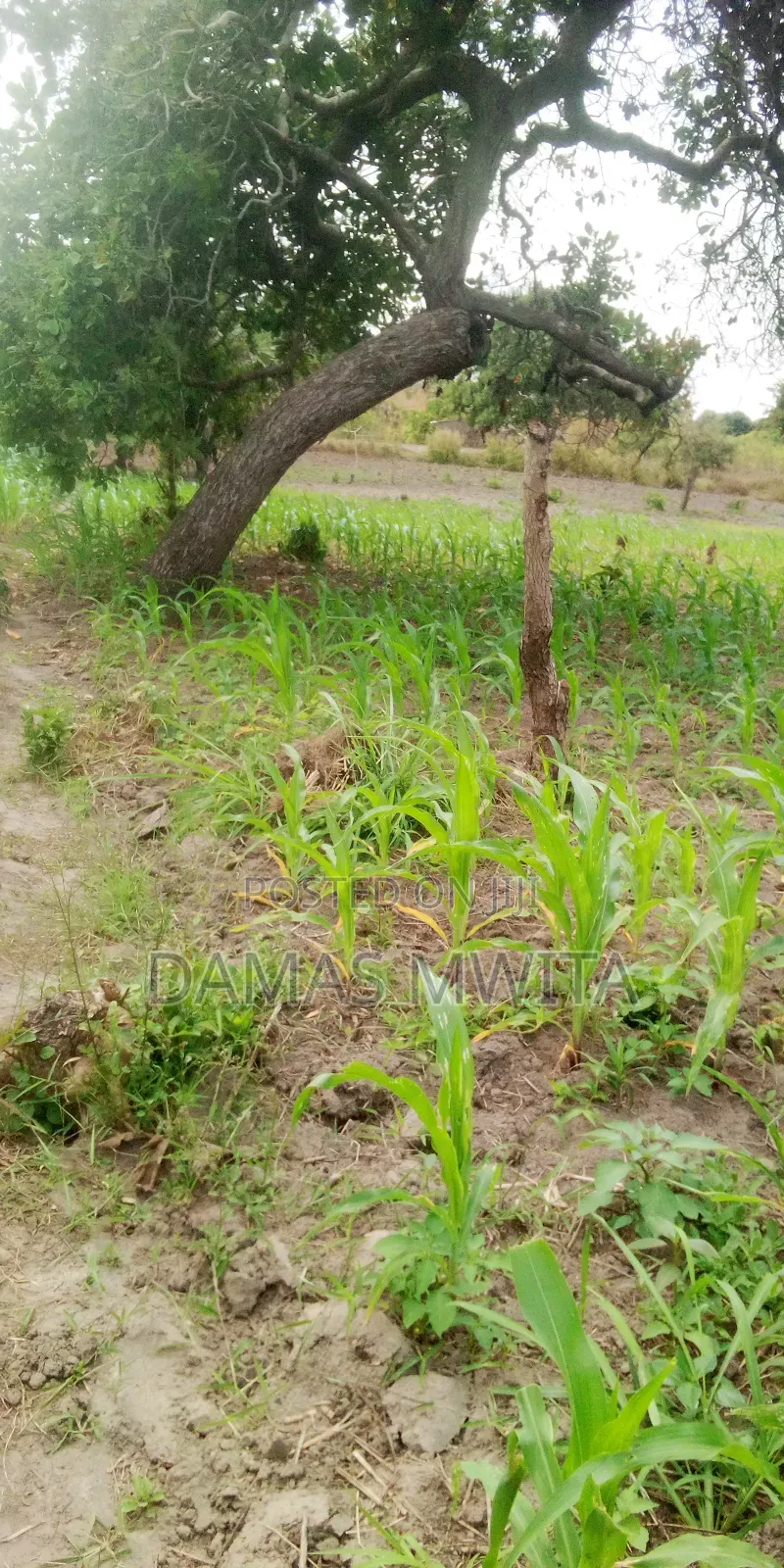 Investment Opportunity At Kilwa Road-10 Acres Industrial Land For Sale