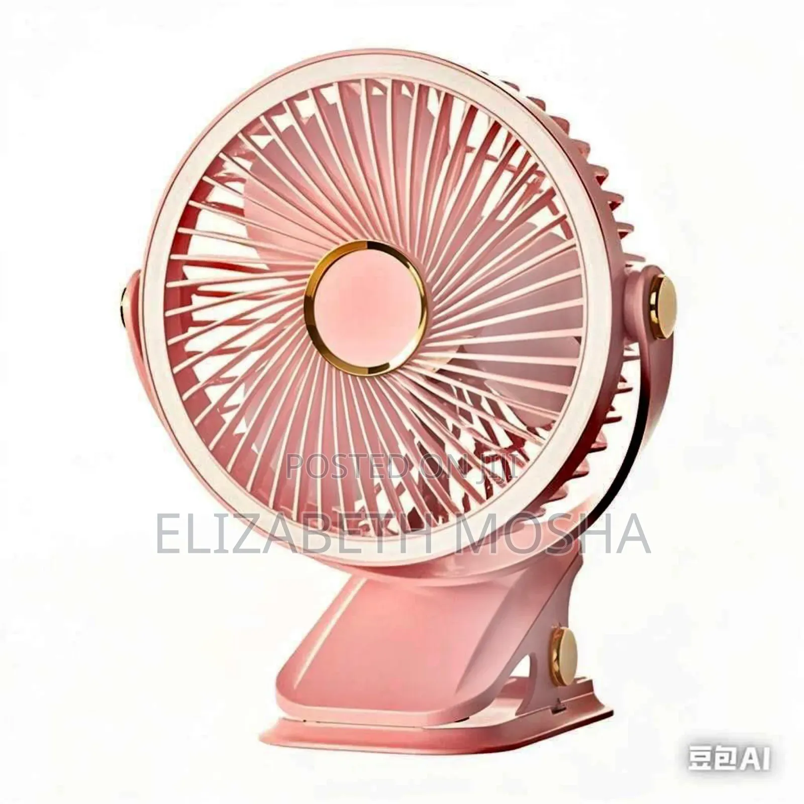 Potable Fan