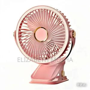 Potable Fan