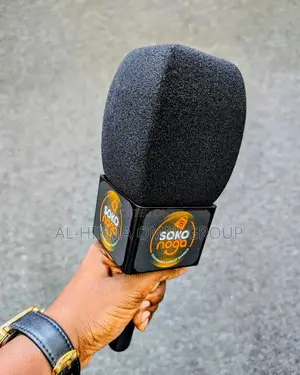 Mic Stick And
