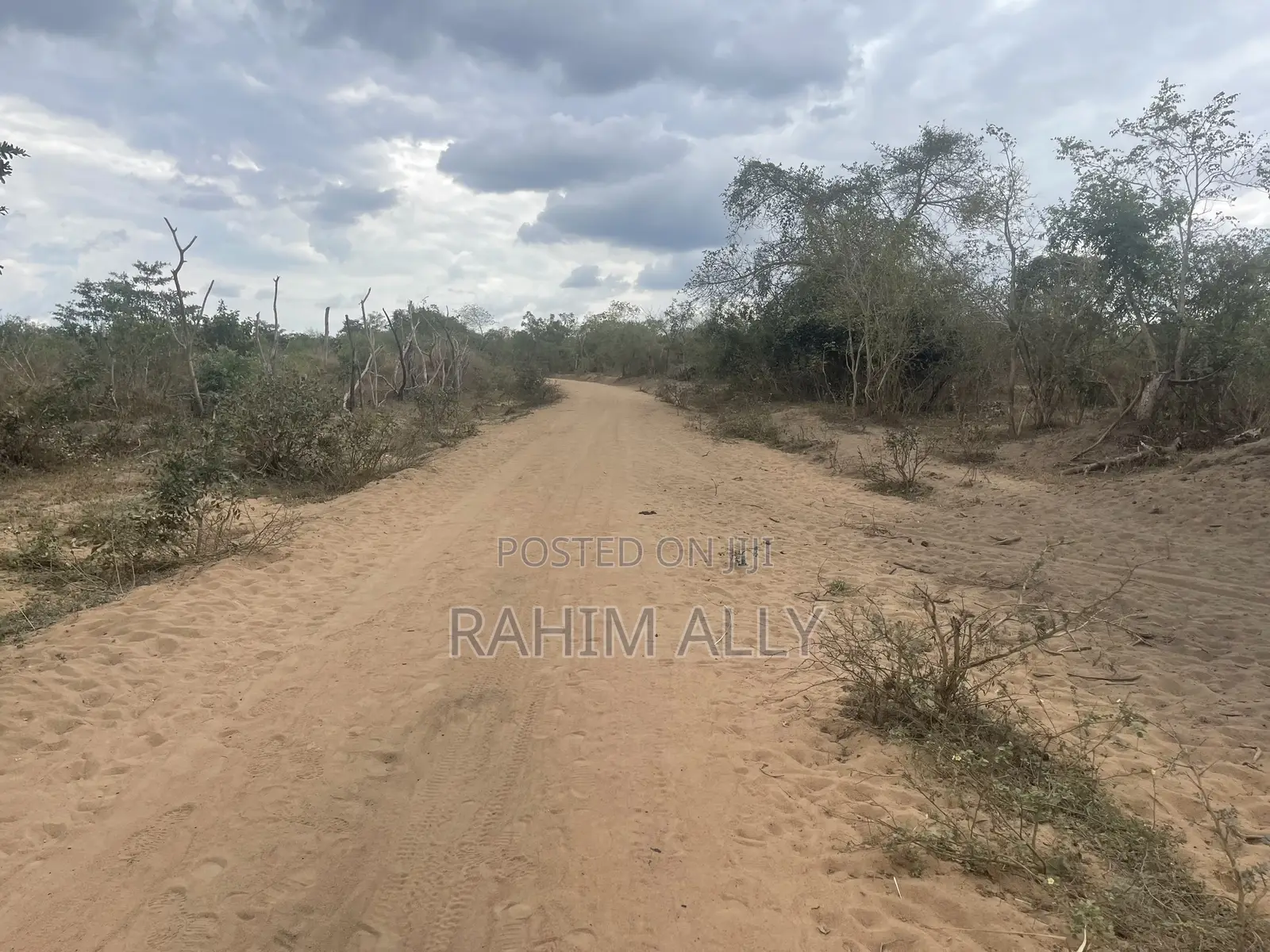 Shamba La Kulima Nanasi Linauzwa Mbwewe