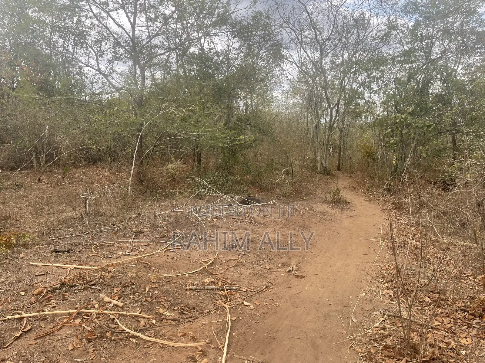 Shamba La Kulima Nanasi Linauzwa Mbwewe