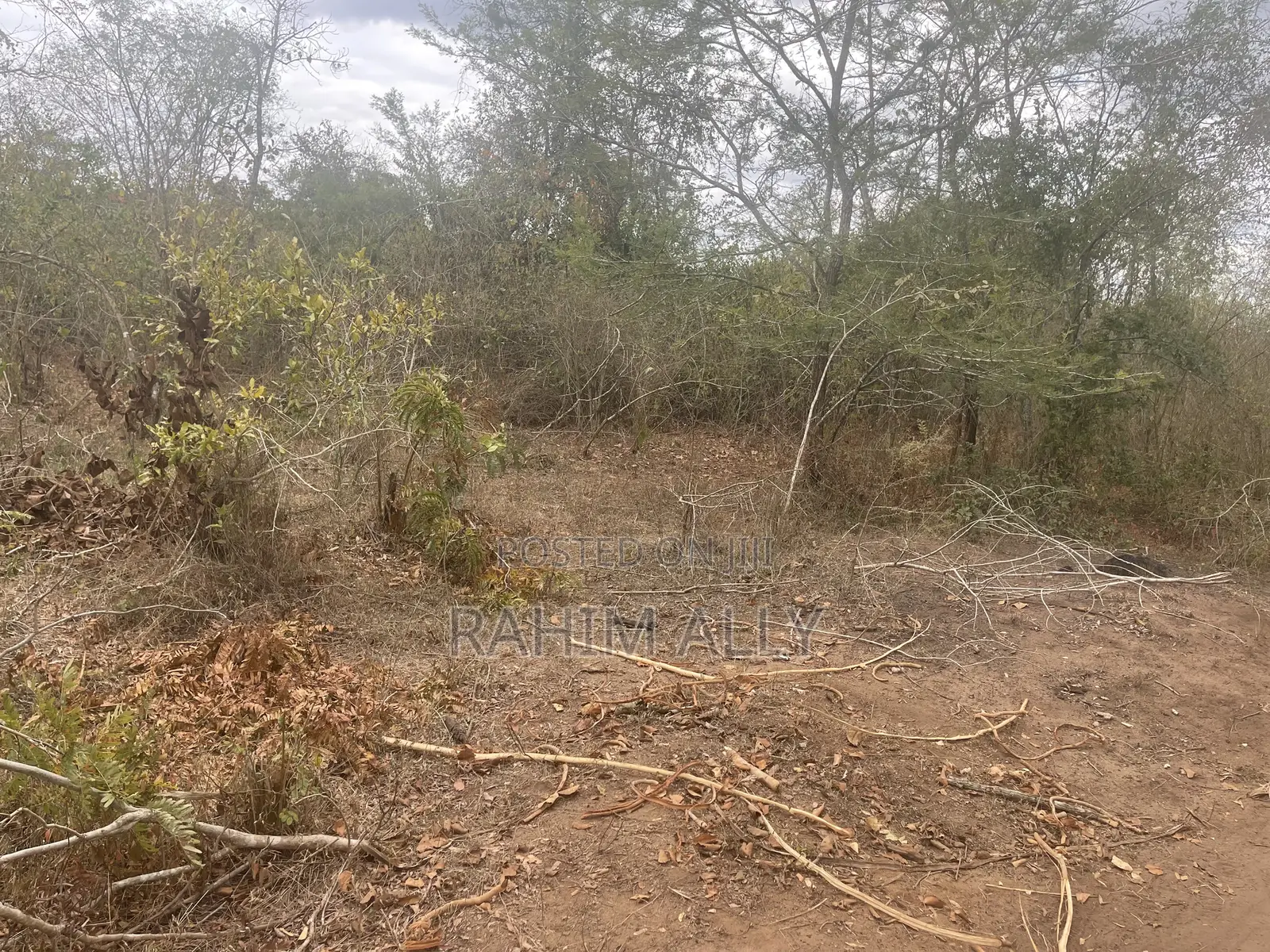 Shamba La Kulima Nanasi Linauzwa Mbwewe