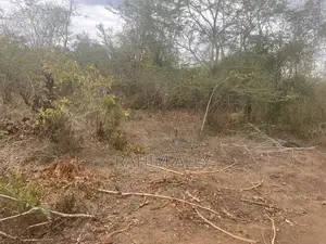 Shamba La Kulima Nanasi Linauzwa Mbwewe