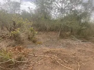 Shamba La Kulima Nanasi Linauzwa Mbwewe