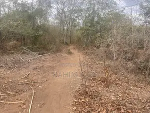 Shamba La Kulima Nanasi Linauzwa Mbwewe