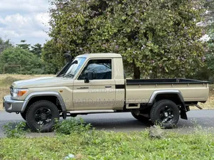 Toyota Land Cruiser 2009 Beige