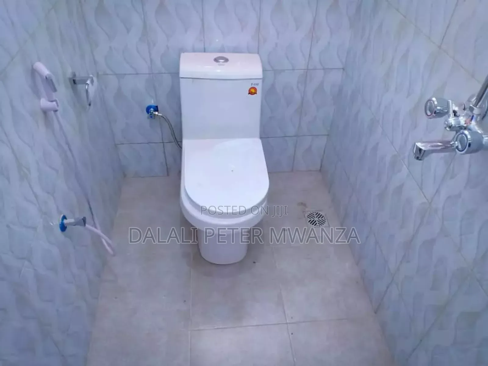 2bdrm House in Nyamhongolo Stand, Ilemela for rent