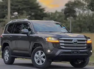 Toyota Land Cruiser 2024 Gray