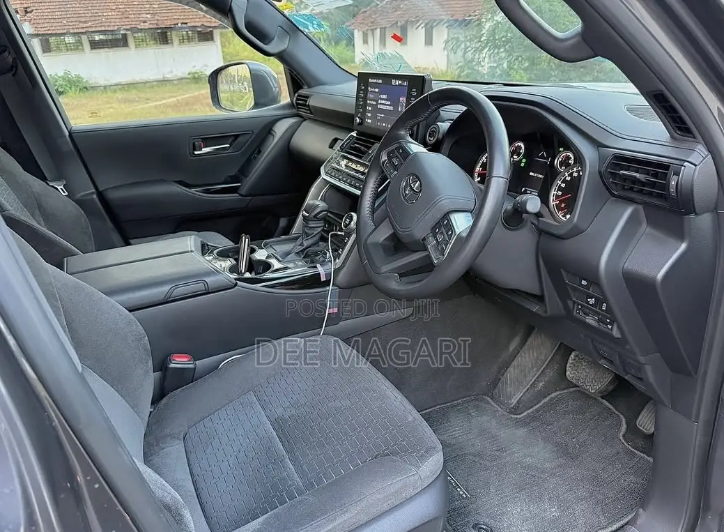 Toyota Land Cruiser 2024 Gray