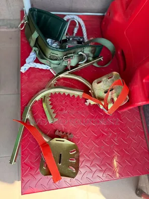 Climbing Poles (Climbing Shoes)