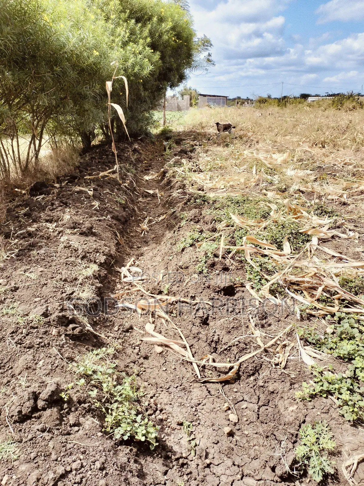 Miliki Shamba Hekari 2 Gomba Estate Arusha