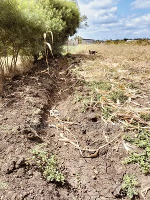 Miliki Shamba Hekari 2 Gomba Estate Arusha