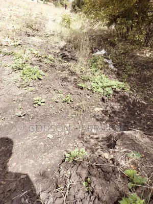 Miliki Shamba Hekari 2 Gomba Estate Arusha