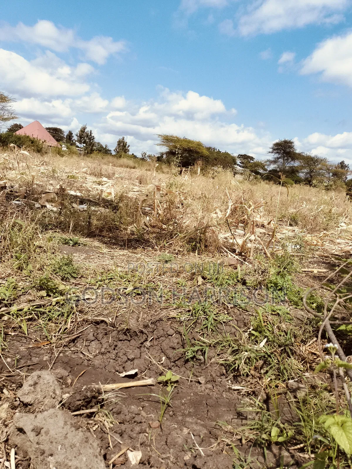 Miliki Shamba Hekari 2 Gomba Estate Arusha