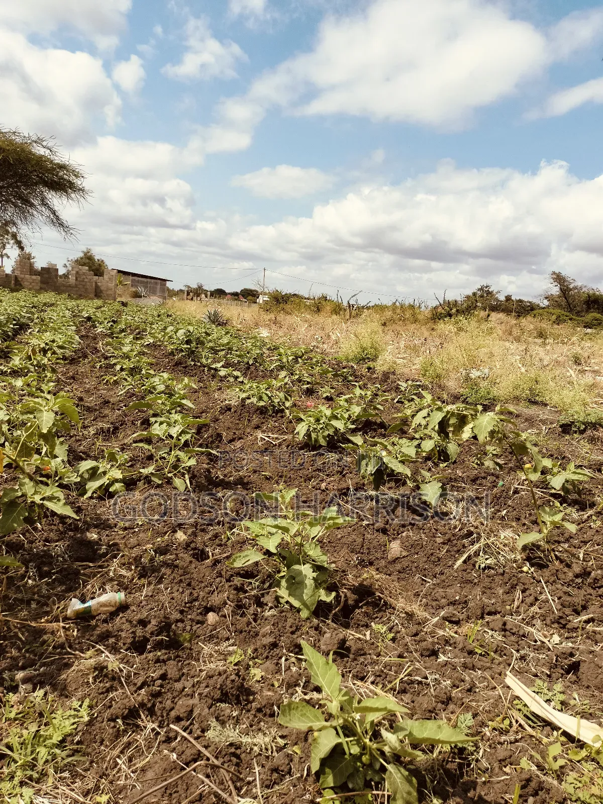 Miliki Shamba Hekari 2 Gomba Estate Arusha
