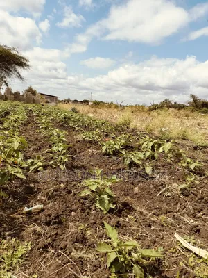 Miliki Shamba Hekari 2 Gomba Estate Arusha