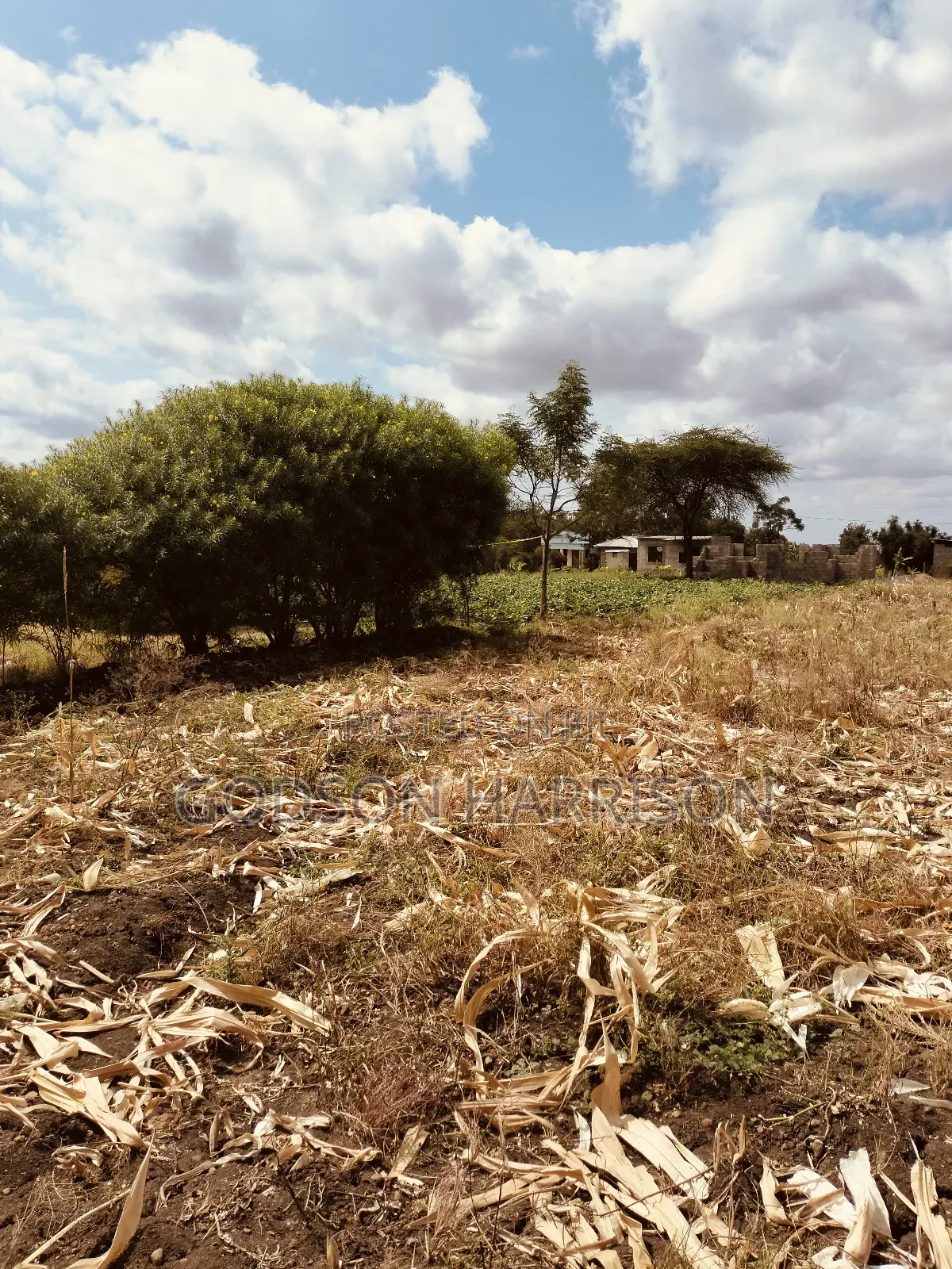 Miliki Shamba Hekari 2 Gomba Estate Arusha
