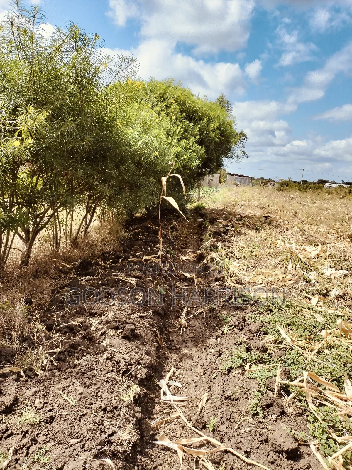 Miliki Shamba Hekari 2 Gomba Estate Arusha