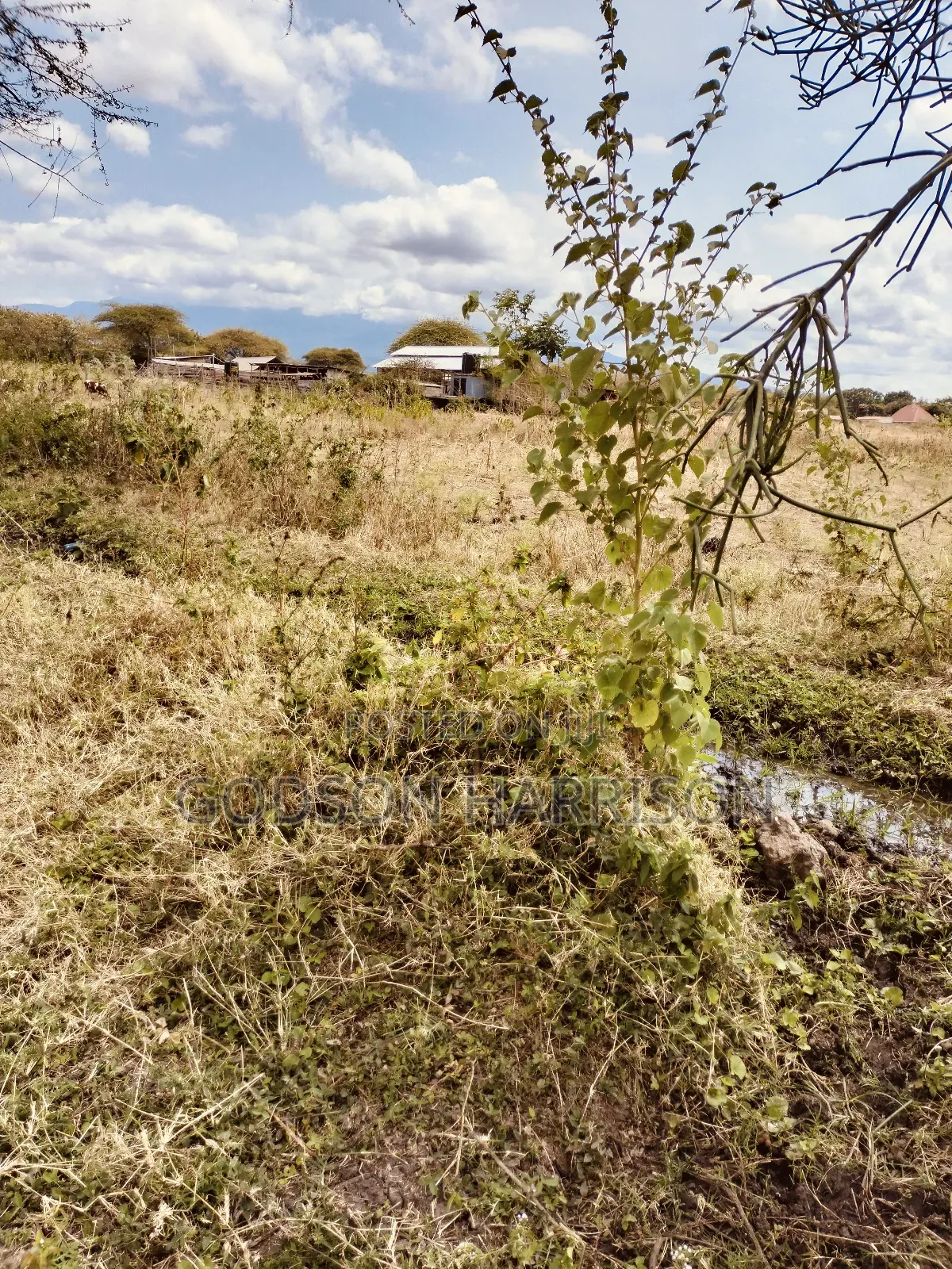 Miliki Shamba Hekari 2 Gomba Estate Arusha