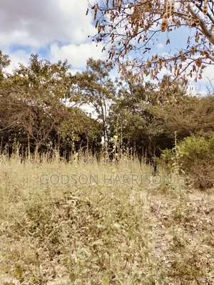 Shamba Hekari 1 Linauzwa Gomba Estate
