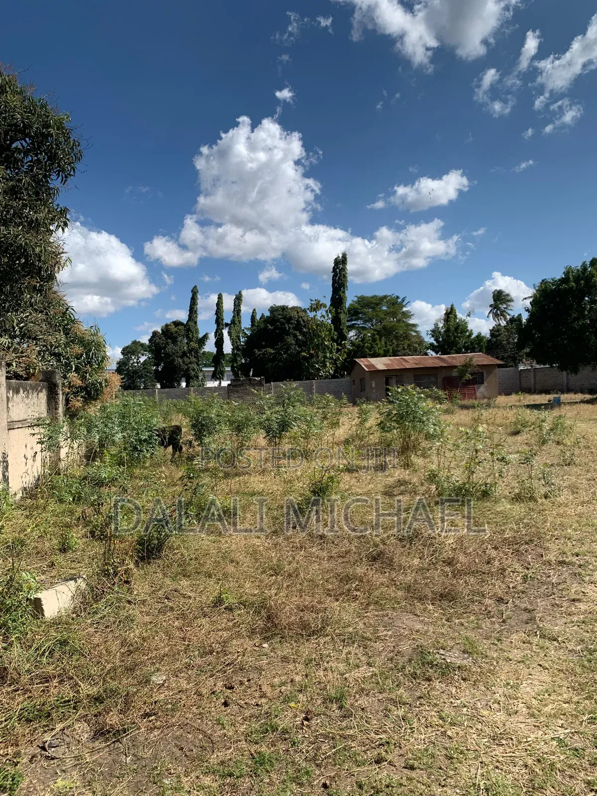 Kiwanja Kinauzwa Africana 2700 SQMS