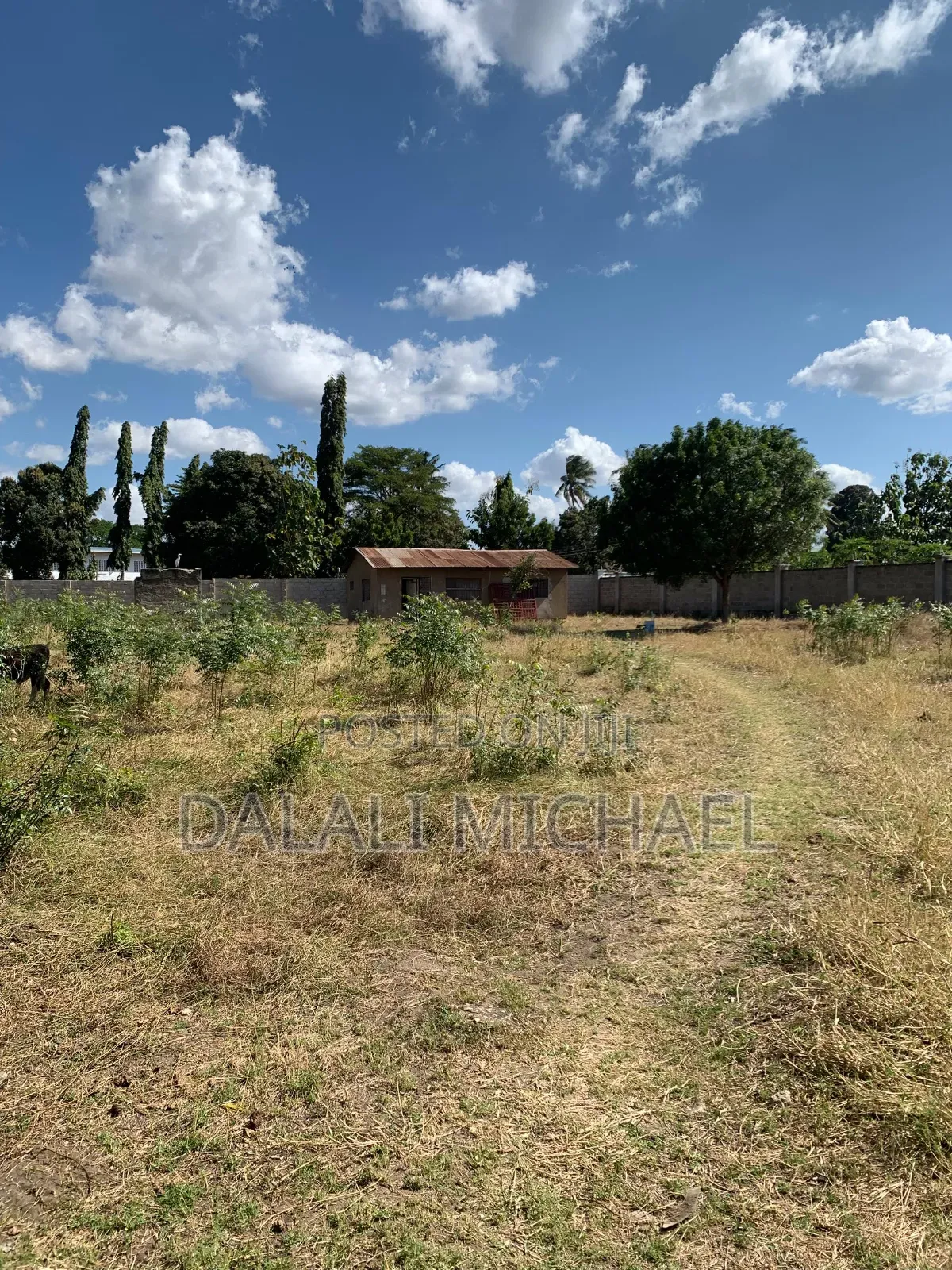 Kiwanja Kinauzwa Africana 2700 SQMS