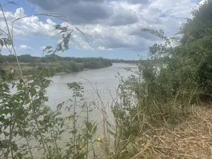 Shamba Linauzwa Kiwangwa La Mtoni Hekari 300