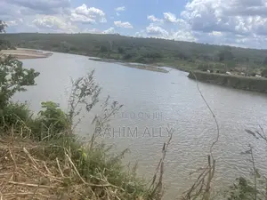 Shamba Linauzwa Kiwangwa La Mtoni Hekari 300