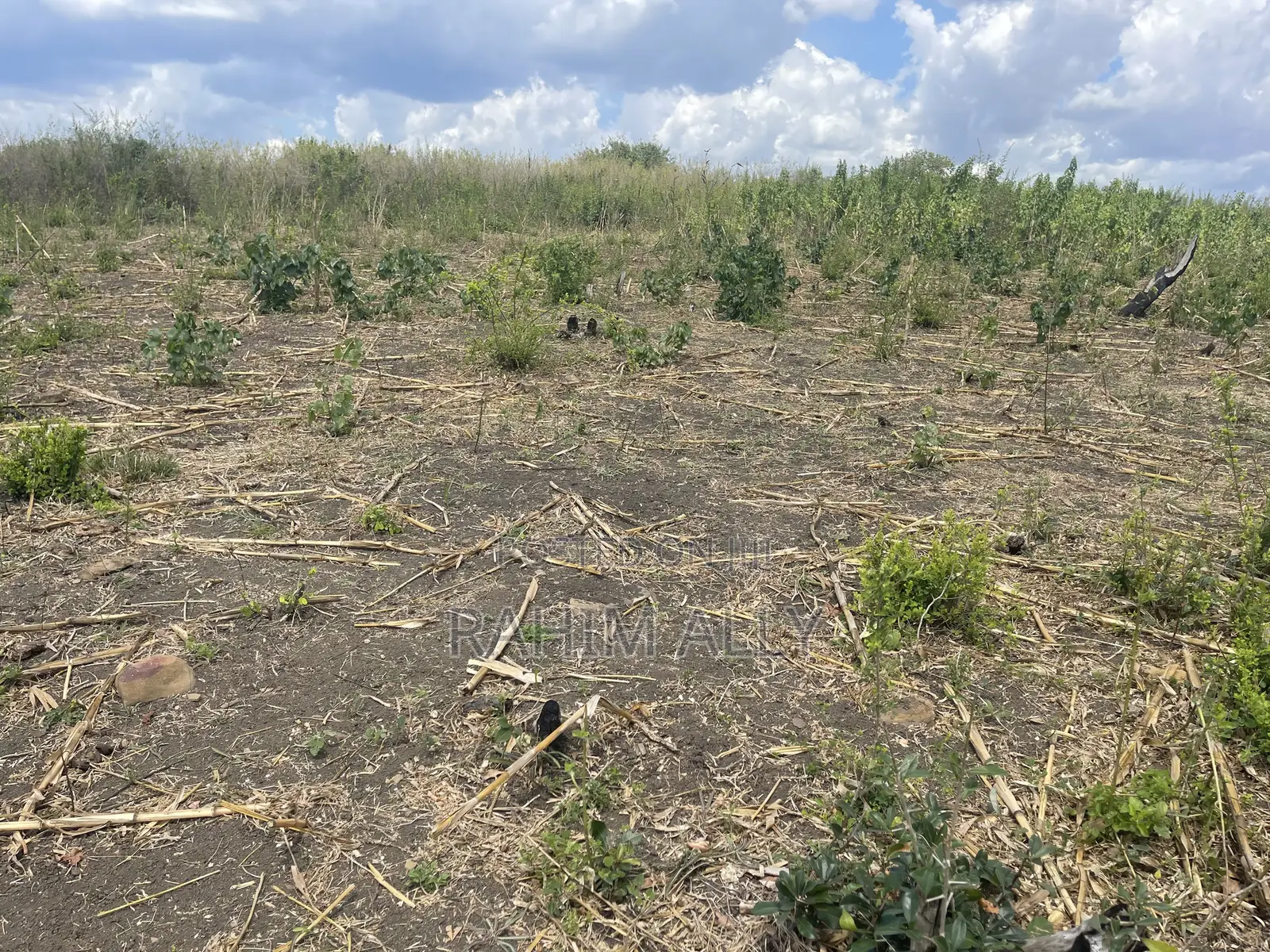 Shamba Linauzwa Kiwangwa La Mtoni Hekari 300