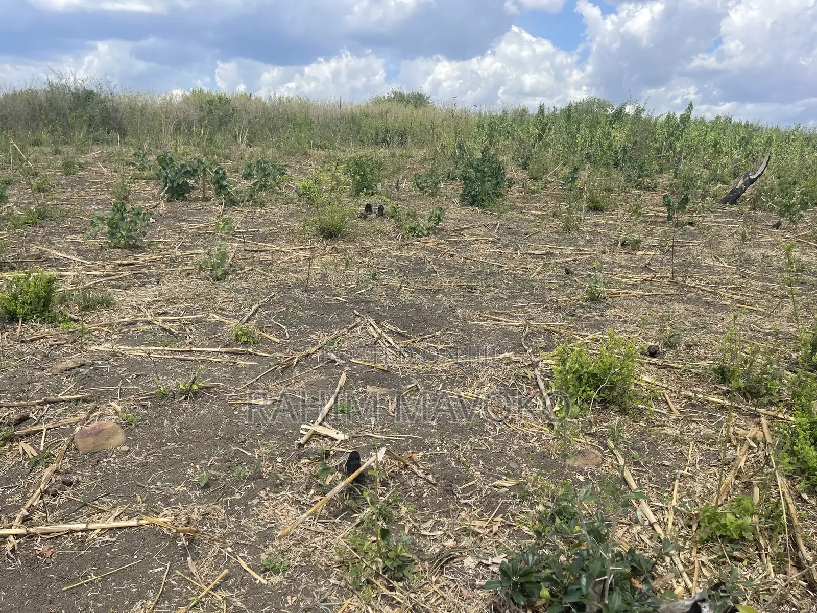 Shamba Linauzwa Kiwangwa La Mtoni Hekari 300