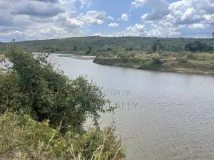 Shamba Linauzwa Kiwangwa La Mtoni Hekari 300