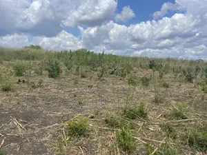 Shamba Linauzwa Kiwangwa La Mtoni Hekari 300